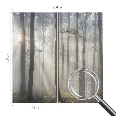 Hoogwaardig fotobehang met het motief 'Etherisch Woud'