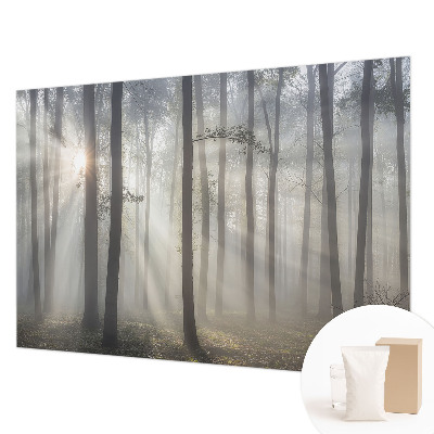 Hoogwaardig fotobehang met het motief 'Etherisch Woud'
