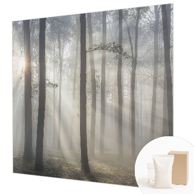 Hoogwaardig fotobehang met het motief 'Etherisch Woud'
