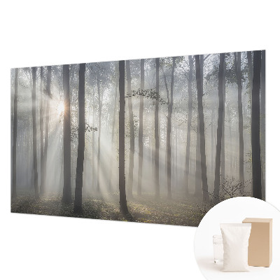 Hoogwaardig fotobehang Etherisch Woud