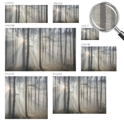 Hoogwaardig fotobehang Etherisch Woud