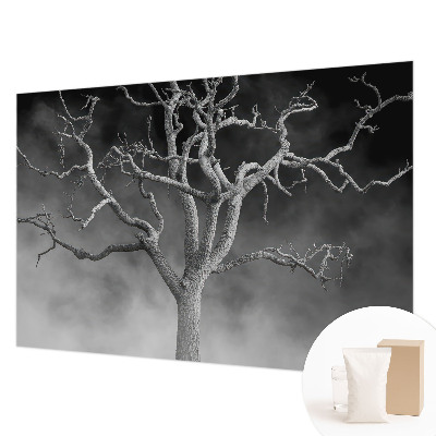 Fotobehang op maat met een mistige boom als motief
