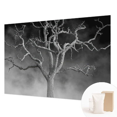 Fotobehang op maat met een mistige boom als motief