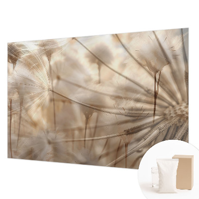 Fotobehang op maat Subtiele paardenbloemen