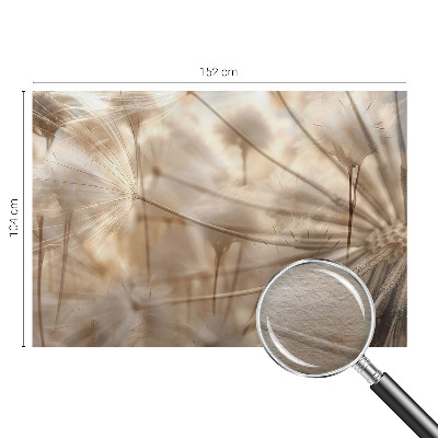 Fotobehang op maat Subtiele paardenbloemen