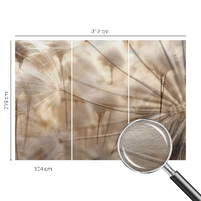 Fotobehang op maat Subtiele paardenbloemen