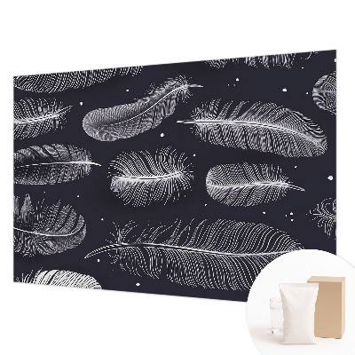 Fotobehang voor de woonkamer Subtiele veren