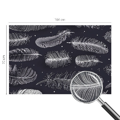 Fotobehang voor de woonkamer Subtiele veren