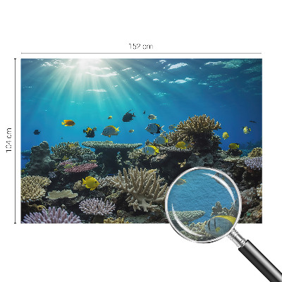 Modern fotobehang voor de woonkamer met een onderwaterwereld als decoratie