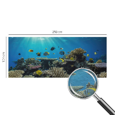 Modern fotobehang voor de woonkamer Onderwaterwereld