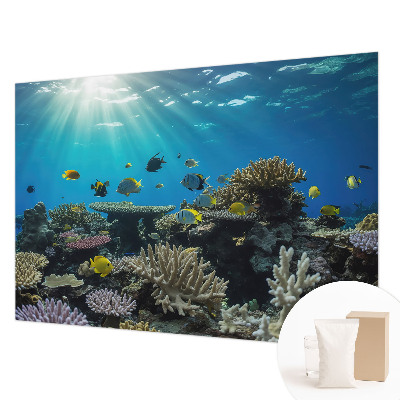 Modern fotobehang voor de woonkamer Onderwaterwereld