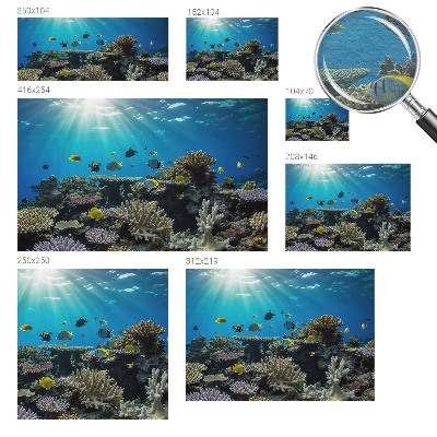 Modern fotobehang voor de woonkamer Onderwaterwereld