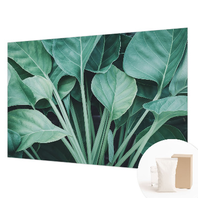 Hoogwaardig fotobehang met een groene natuurrijke print