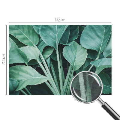 Hoogwaardig fotobehang met een groene natuurrijke print