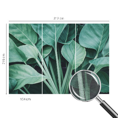 Hoogwaardig fotobehang met een groene natuurrijke print