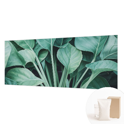 Hoogwaardig fotobehang Groene natuur