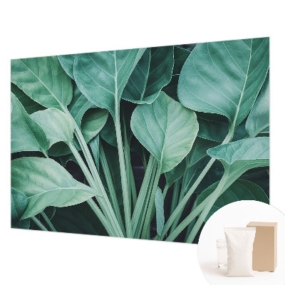 Hoogwaardig fotobehang met een groene natuurrijke print