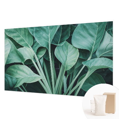 Hoogwaardig fotobehang met een groene natuurrijke print