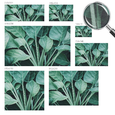 Hoogwaardig fotobehang Groene natuur