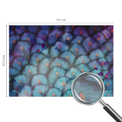 Naadloos fotobehang Kleurrijke veren