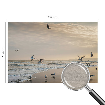 Fotobehang voor de woonkamer Rust aan zee