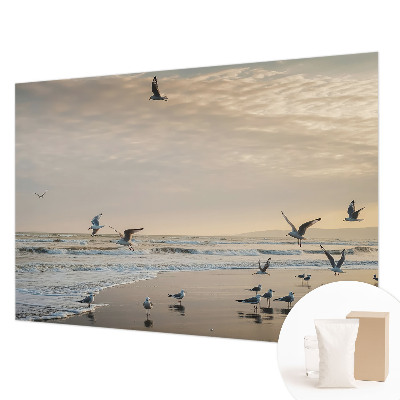 Fotobehang voor de woonkamer met een rustgevend zeegezichtenontwerp