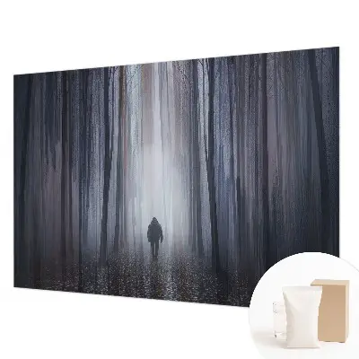 Hoogwaardig fotobehang met het motief 'Bosstilte'