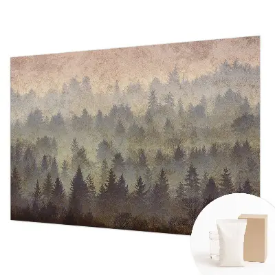 Groot fotobehang met een mistig bosmotief