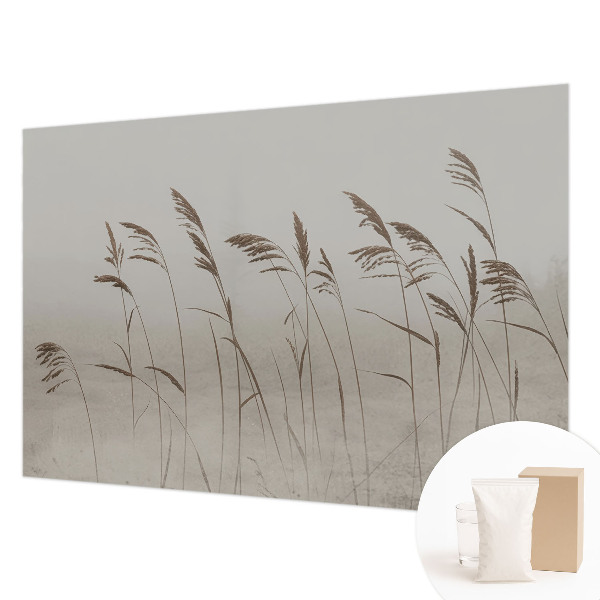 Fotobehang voor de slaapkamer Grassen in de mist
