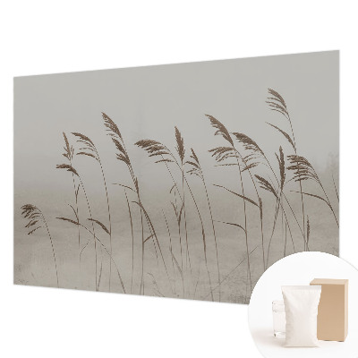 Fotobehang voor de slaapkamer met een print van grassen in de mist