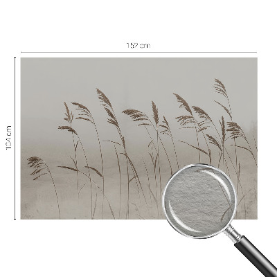 Fotobehang voor de slaapkamer Grassen in de mist