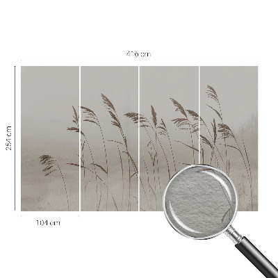 Fotobehang voor de slaapkamer Grassen in de mist