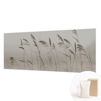 Fotobehang voor de slaapkamer Grassen in de mist