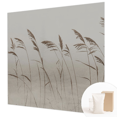 Fotobehang voor de slaapkamer Grassen in de mist