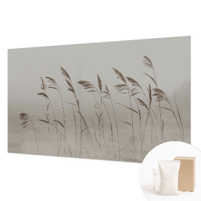 Fotobehang voor de slaapkamer Grassen in de mist