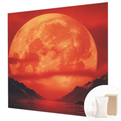 Groot fotobehang Nachtelijk fenomeen