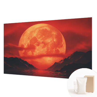 Groot fotobehang Nachtelijk fenomeen