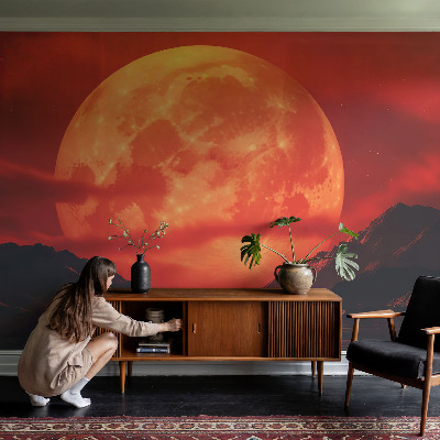 Groot fotobehang met nachtelijk fenomeen als print