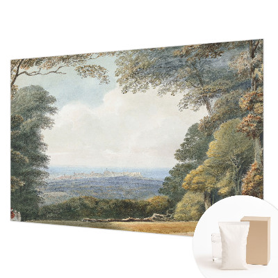 Hoogwaardig fotobehang met een bebost landschap