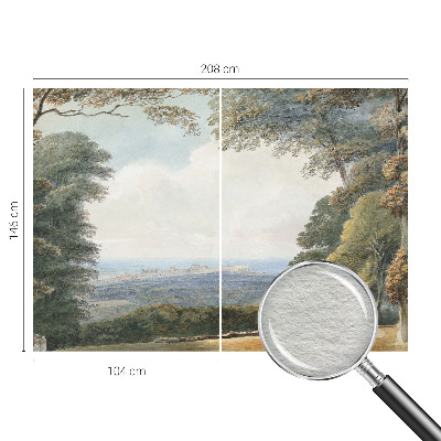 Hoogwaardig fotobehang met een bebost landschap