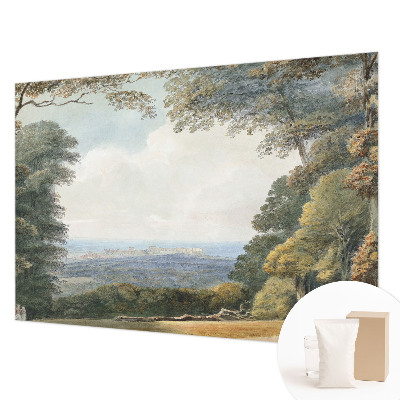 Hoogwaardig fotobehang met een bebost landschap