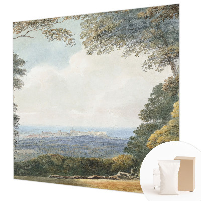 Hoogwaardig fotobehang met een bebost landschap