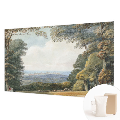 Hoogwaardig fotobehang met een bebost landschap