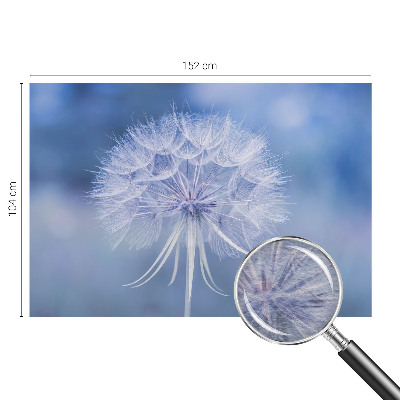 Muur behang Blauwe delicatesse