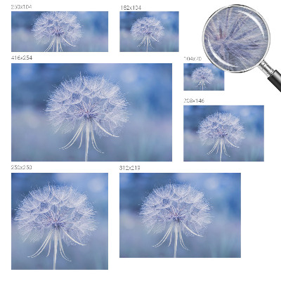 Muur behang Blauwe delicatesse