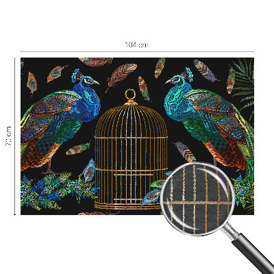 Hoogwaardig fotobehang afbeelding van een pauw