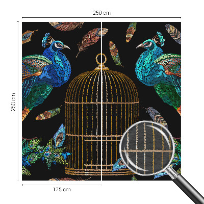 Hoogwaardig fotobehang afbeelding van een pauw