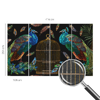 Hoogwaardig fotobehang afbeelding van een pauw