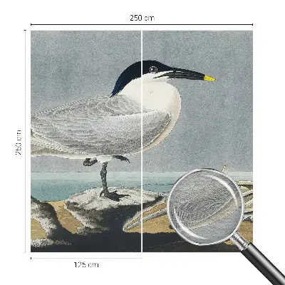 Uniek fotobehang met een ornithologisch elegant ontwerp