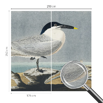 Uniek fotobehang Ornithologische elegantie